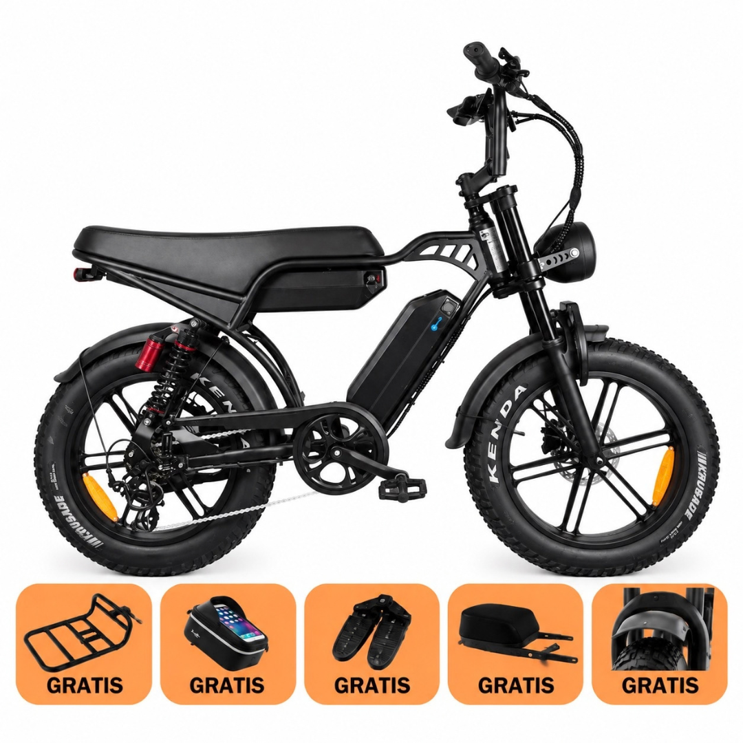 QM Wheels V29 Pro Fatbike (Dubbele Accu) – Zwart – Combideal