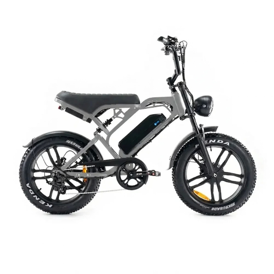 QM Wheels V20 Pro fatbike Nardo Grijs, zijaanzicht