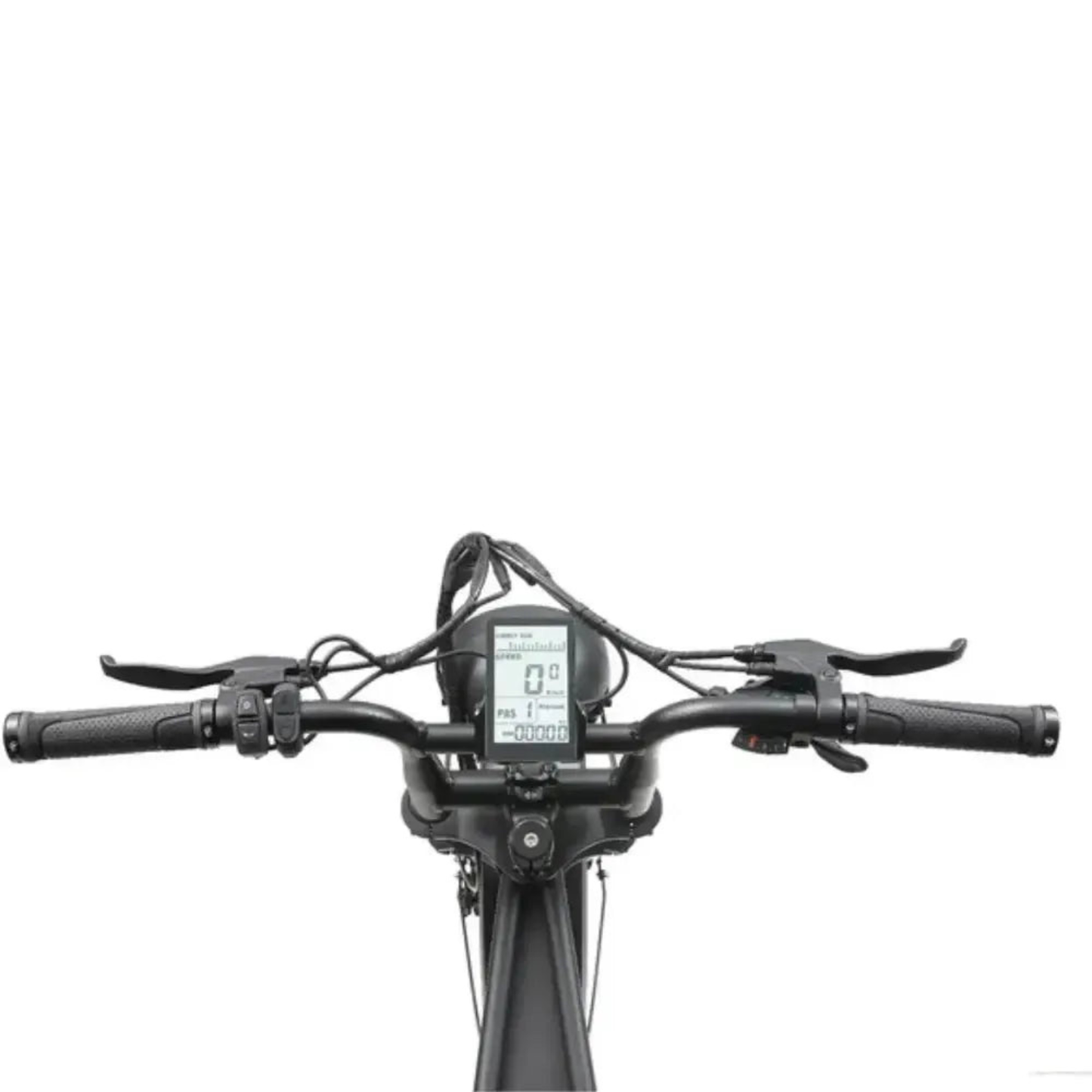 Ape Ryder A10 Pro – Elektrische Fatbike 250W| 60 km Actieradius | Hydraulische Remmen