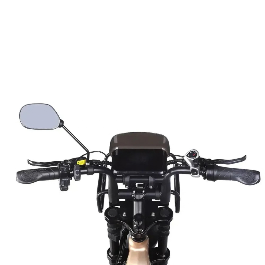 OUXI Q9 2026 - Lage Instap Fatbike - Zwart/Goud