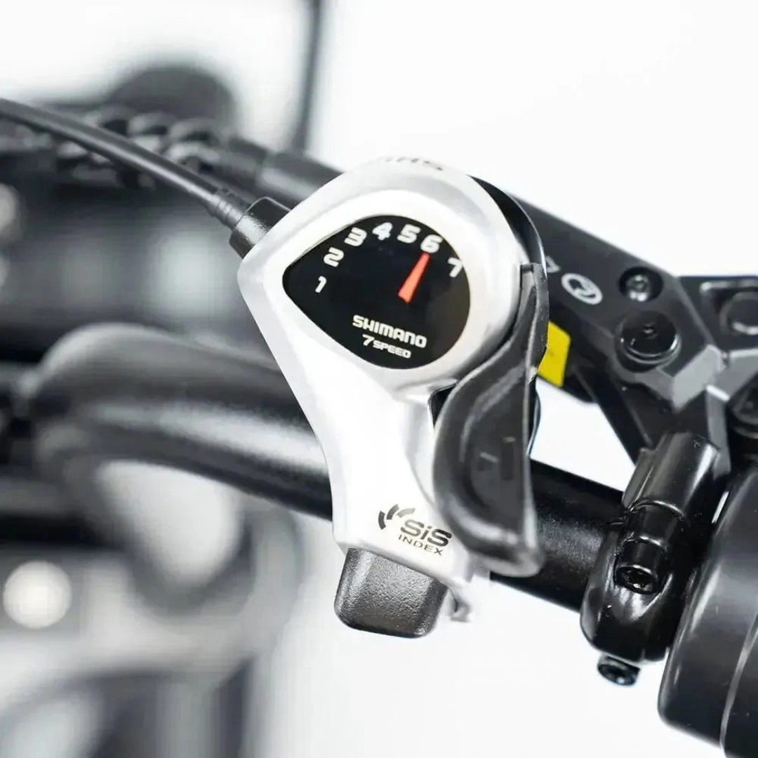V20 PRO SKINNY 2026 - Fatbike - Zwart