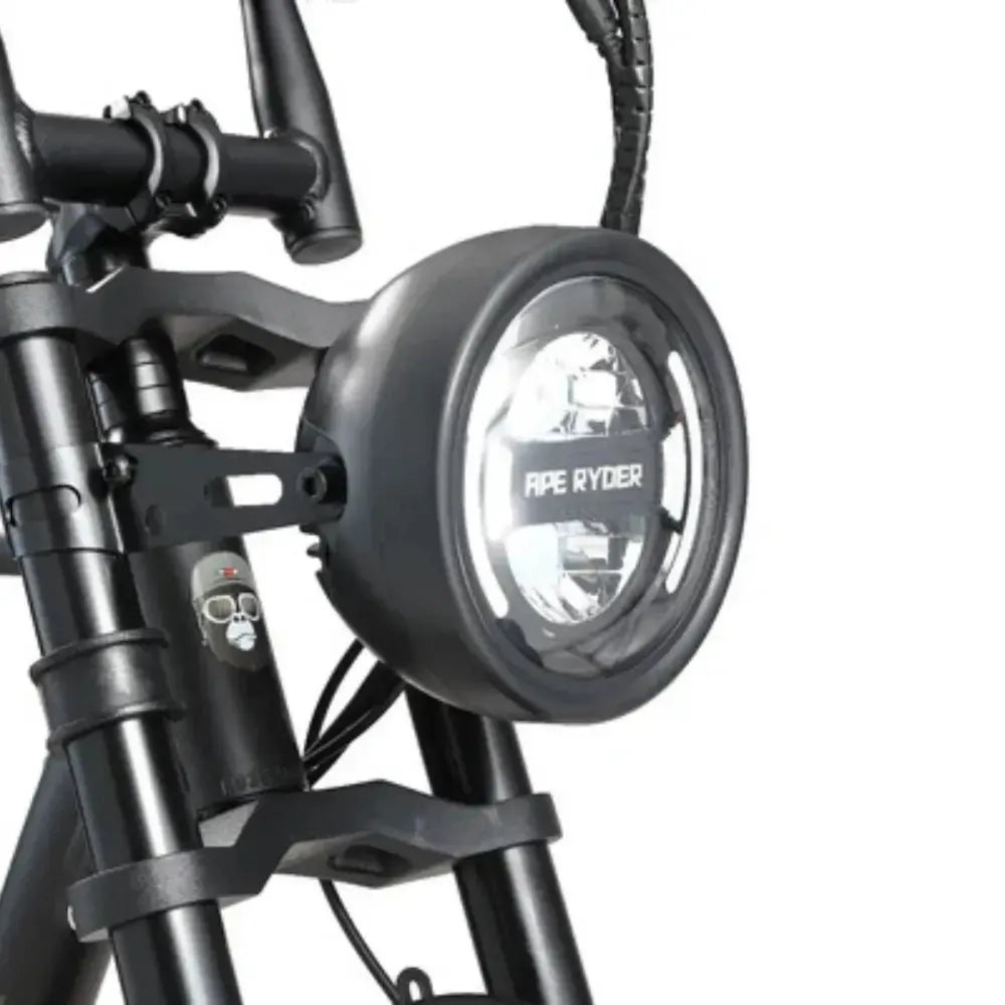 Ape Ryder A10 Pro – Elektrische Fatbike 250W| 60 km Actieradius | Hydraulische Remmen