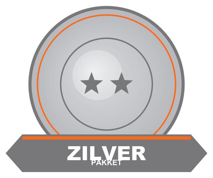 Onderhoudsbeurt – Zilver